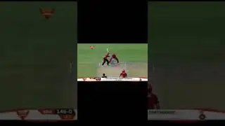 WARNER SHOT SERIES 😍