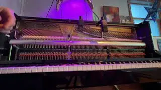 Mirizio Microphone Solutions for Piano
