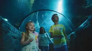 Merlin's Big London Attraction ticket
