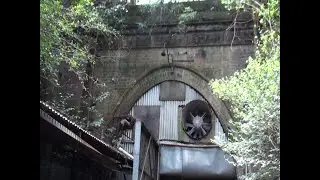 Glenbrook Mushroom Tunnel Story