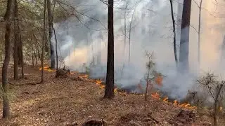 &lsquo;No need for alarm&rsquo;: Crews containing wildland fire in Addicks Reservoir