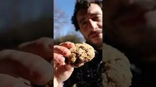 Quick Almond Flour Cookies | Low Carb, Sugar-Free Recipe with Psyllium Husk & Chocolate Chips