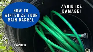 How to Winterize Your Garden Rain Barrel - Avoid Ice Damage in Freezing Weather! EarthMinded 45 Gal.