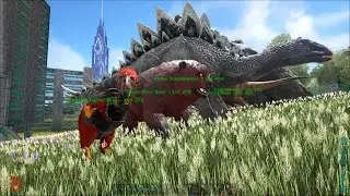 Ark survival evolved ep38! alpha dire bear and steggo tames