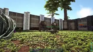 Ark With Friends