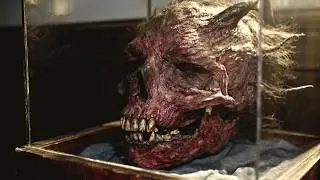 Catholic Relics Locked Away Because of Their Dark Reputation