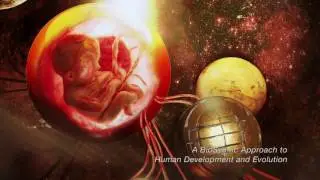 A Biosymtic (Robotic) Approach To Human Development and Evolution. The Echo of the Universe.