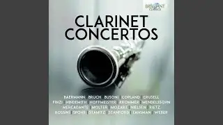Clarinet Concerto in G Minor, Op. 29: II. Adagio
