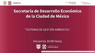 Sistemas de Gesti&oacute;n Ambiental
