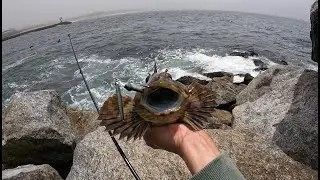 catching my first cabezon! surf fishing and jetty fishing in monterey bay