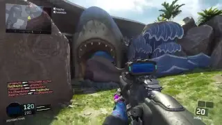 Multiplayer