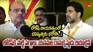 Yanamala Ramakrishnudu about Mahanadu Celebrations 2025 | Tone News