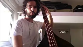 Zoom A3 demo on a Double Bass