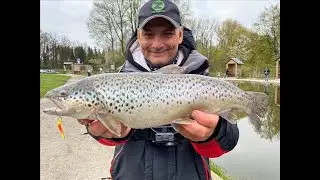 Ловля Форели. Forellenpark Quellental.  Metsui Target 602L ,Metsui Trigger S562XUL.
