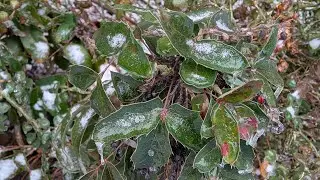 Google Pixel 9a - Umfangreicher 4K Test der Video- und Fotoqualit&auml;t