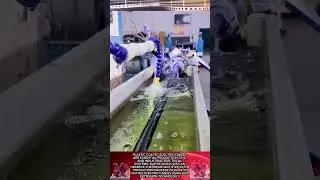 Plastic extrusion process for covering electric cables || Modern technology