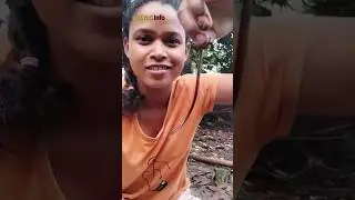 Snake or Earthworm | Amazing Facts of Barbados Threadsnake #shorts #snake