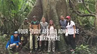 Study Abroad: Belize