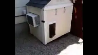 Max&rsquo;s dog house with AC (2012)