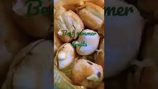 Ice apple | summer fruit | ତାଳ ସଜ|fruit of palm tree#shorts #ytshorts #summerfruits\Gujarat dairy
