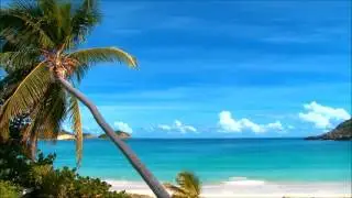 SCOTT FROST SOUTHWEST FLORIDA