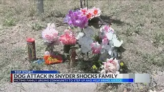 Family reacts to fatal dog attack in Snyder