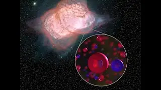 The Universe&rsquo;s First Type of Molecule Is Found