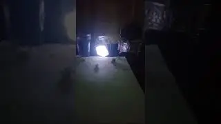 Light Stone 58