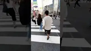 SHIBUYA CROSSING IN TOKYO
