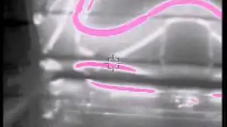 fireflir ff110 2