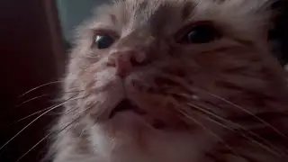 The Creature