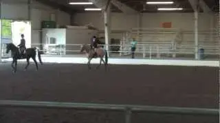 OAHA Half-Arabian Sport Horse Under Saddle ATR