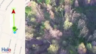 Halo Test Flight Live Final