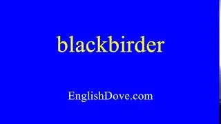 How to pronounce blackbirder in American English.