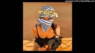 [FREE] 2000'S & TIMBALAND & EGYPTIAN SWAG TYPE BEAT - ''PASSION''