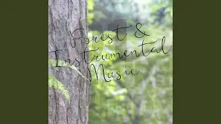 Forest & Instrumental Music