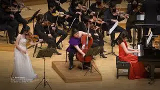 L. v. Beethoven Triple conerto in C Major, Op 56 Ⅰ. Allegro