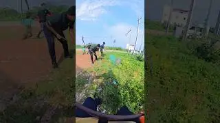 fantastic dog catch moments #shorts #shortsfeed #short #youtubeshorts