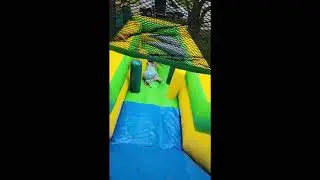 tropical obstacle course with wipeout rental in grand rapids michigan
