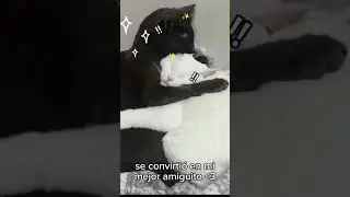 el audio de fondo nada ke ver🤣