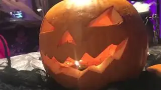 Miss Sushi - Halloween 2017