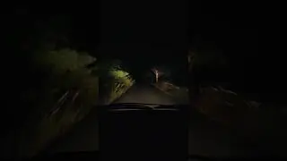 Scary Village road at night!! #scary #horror
