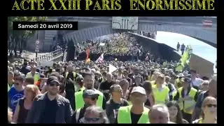 Acte XXIII la foule des grands jours &agrave; Paris - samedi 20 avril 2019