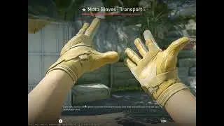 Moto Gloves | Transport (Field Tested) CS2