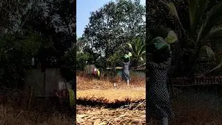 morning to night vlog #shorts #villagelife #nisha Village style family