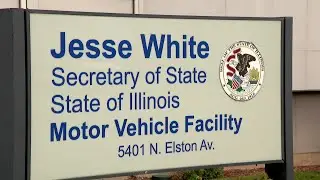 Voters Decide: Race for Illinois Secretary of State