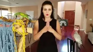 How To Get Your Parrot To Eat Pellets | PARRONT TIP TUESDAY