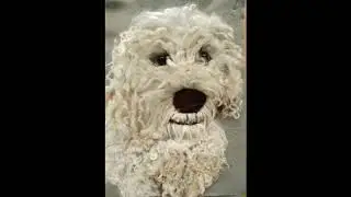 Needle Felt Pet Dog Portrait by Apulina