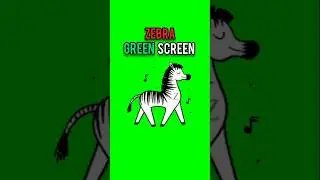 Zebra 🦓  walking green screen #zebra #chromakey #animation #dailygreenscreen