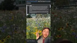 Native plants along our highways!?
